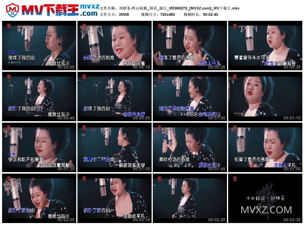 刘妍菲-炸山姑娘_国语_流行_ME900272